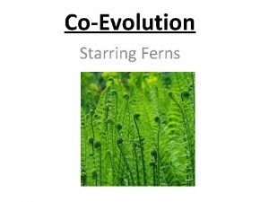 CoEvolution Starring Ferns FernEnvironment Interactions How do ferns