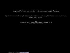 Universal Patterns of Selection in Cancer and Somatic