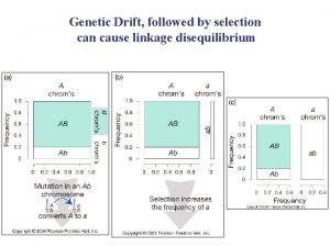 Genetic Drift followed by selection cause linkage disequilibrium