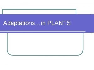 Adaptationsin PLANTS Plants can adapt too l Plants