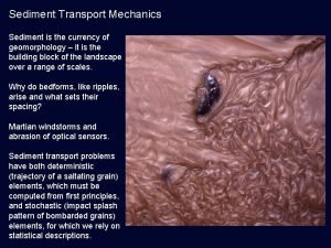 Sediment Transport Mechanics Sediment is the currency of