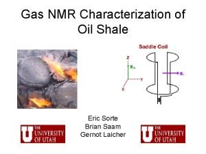 Gas NMR Characterization of Oil Shale Eric Sorte