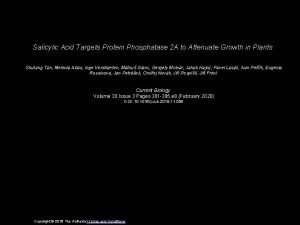 Salicylic Acid Targets Protein Phosphatase 2 A to