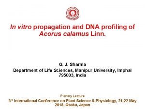 In vitro propagation and DNA profiling of Acorus