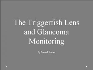 Triggerfish glaucoma