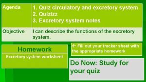 Respiratory system quizizz Respiratory system quizizz