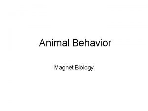 Animal Behavior Magnet Biology Animal Behavior p Behavior