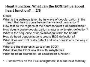 Heart Function What can the ECG tell us