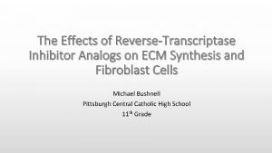 The Effects of ReverseTranscriptase Inhibitor Analogs on ECM