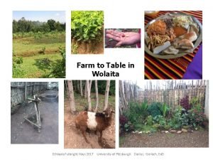Farm to Table in Wolaita Ethiopia Fulbright Hays