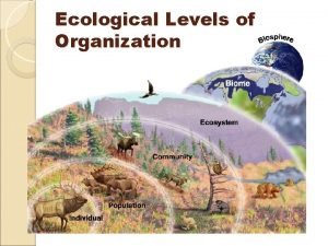 Levels of ecological organization foldable