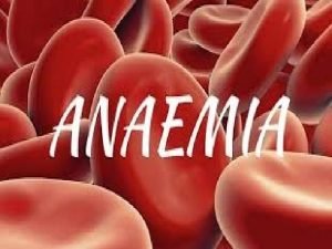 ANAEMIA IN PREGNANCY PHYSIOLOGICAL CHANGES DURING PREGNANCY Plasma