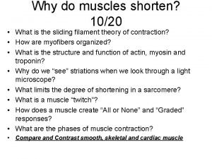 Why do muscles shorten 1020 What is the