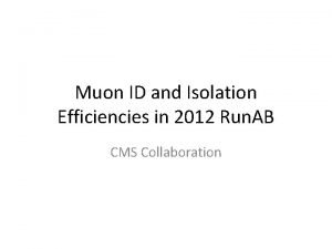 Muon ID and Isolation Efficiencies in 2012 Run