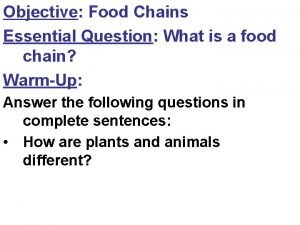 Objective of food chain