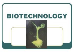 BIOTECHNOLOGY BIOTECHNOLOGY TERMS Gel electrophoresis DNA fingerprint Transgenic