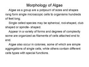 Morphology of algae