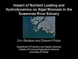 Impact of Nutrient Loading and Hydrodynamics on Algal