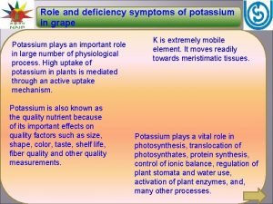 Role and deficiency symptoms of potassium in grape