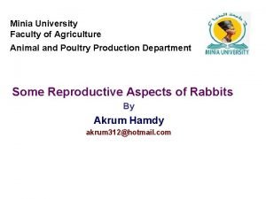 Minia University Faculty of Agriculture Animal and Poultry