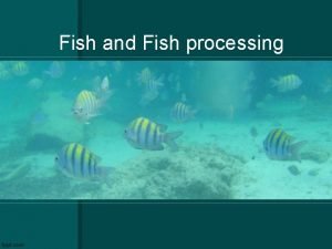 Fish procurement Fish procurement