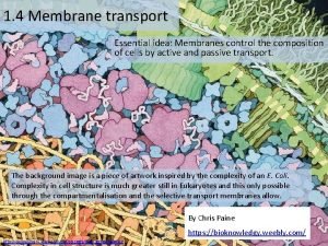 1 4 Membrane transport Essential idea Membranes control