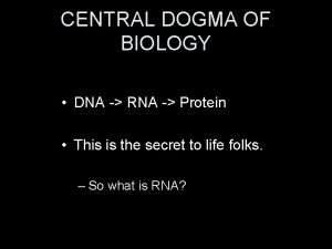 CENTRAL DOGMA OF BIOLOGY DNA RNA Protein This