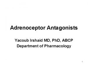 Adrenoceptor Antagonists Yacoub Irshaid MD Ph D ABCP