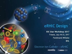 e RHIC Design EIC User Workshop 2017 Trieste