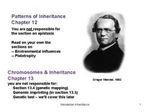 Patterns of Inheritance Chapter 12 You are not