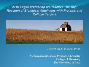 2010 Logan Workshop on Reactive Toxicity Reaction of