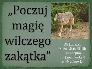 Poczuj magi wilczego zaktka Wykonaa Daria Albin Kl