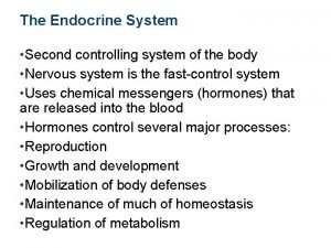 What secretes hormones