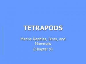 TETRAPODS Marine Reptiles Birds and Mammals Chapter 9