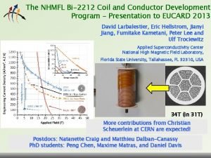 The NHMFL Bi2212 Coil and Conductor Development Program