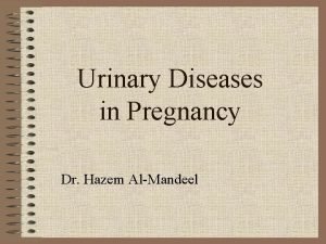 Urinary Diseases in Pregnancy Dr Hazem AlMandeel Anatomic