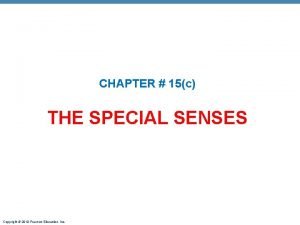 Chapter 15 special senses