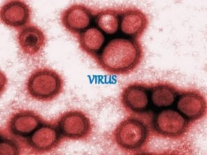 VIRUS Lo No Vivo Los Virus Los virus
