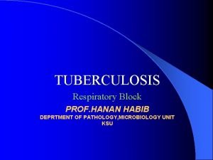 TUBERCULOSIS Respiratory Block PROF HANAN HABIB DEPRTMENT OF