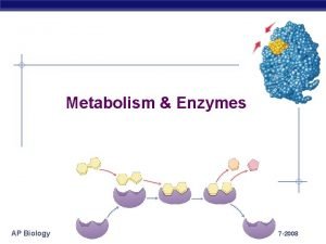 Metabolism Enzymes AP Biology 2007 2008 One molecule
