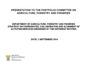 Portfolio committee Portfolio committee