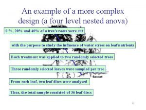 Nested anova