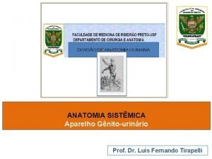 ANATOMIA SISTMICA Aparelho Gnitourinrio Prof Dr Lus Fernando