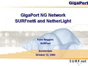 Giga Port NG Network SURFnet 6 and Nether