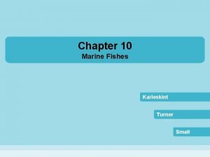 Chapter 10 Marine Fishes Karleskint Turner Small Fishes