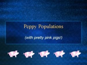 Peppy Populations with pretty pink pigs Peppy Population