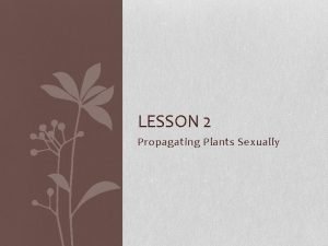 LESSON 2 Propagating Plants Sexually Next Generation ScienceCommon