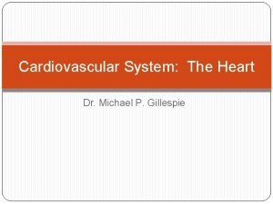 Cardiovascular System The Heart Dr Michael P Gillespie