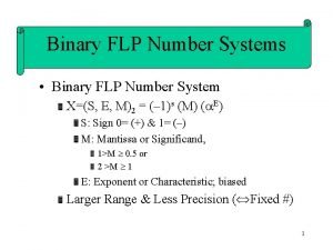 Binary FLP Number Systems Binary FLP Number System