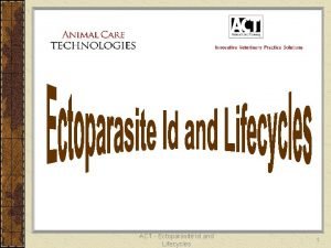 ACT Ectoparasite Id and Lifecycles 1 Arthropods Invertebrate